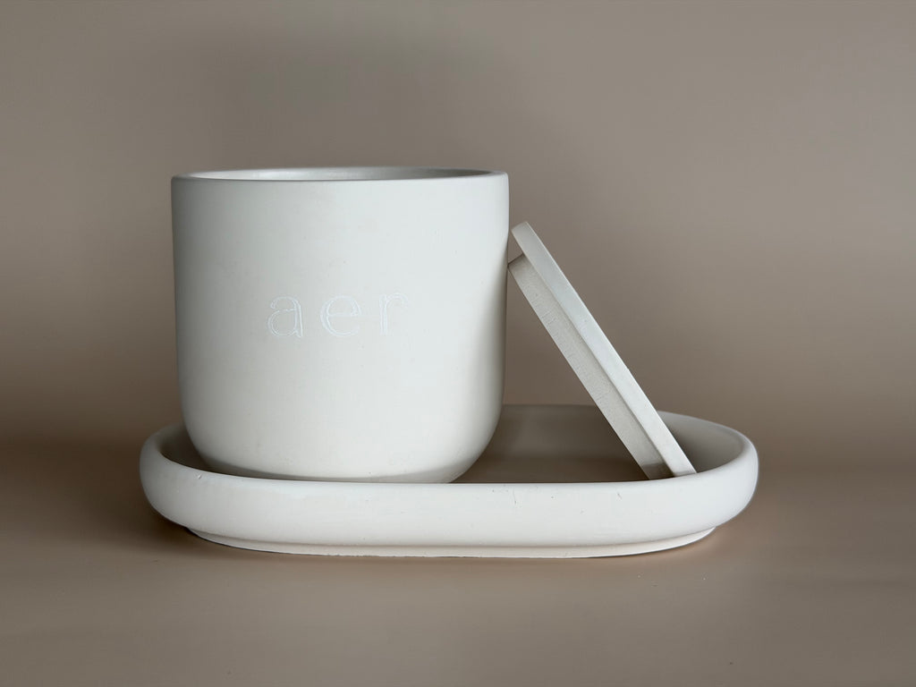 The Platform Tray