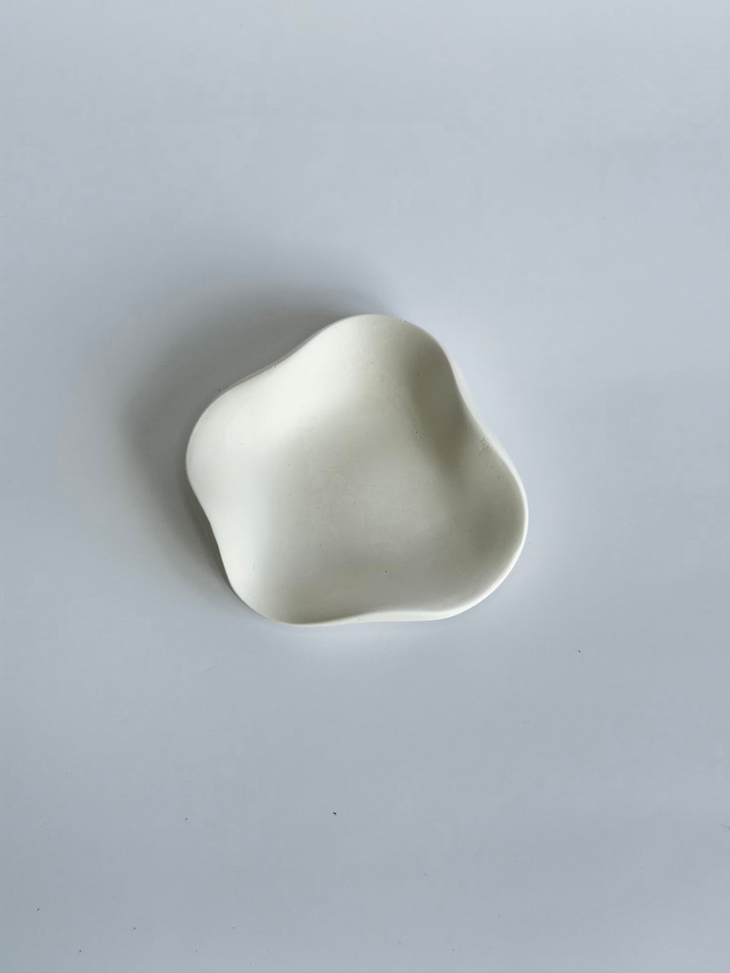 The Echo Tray