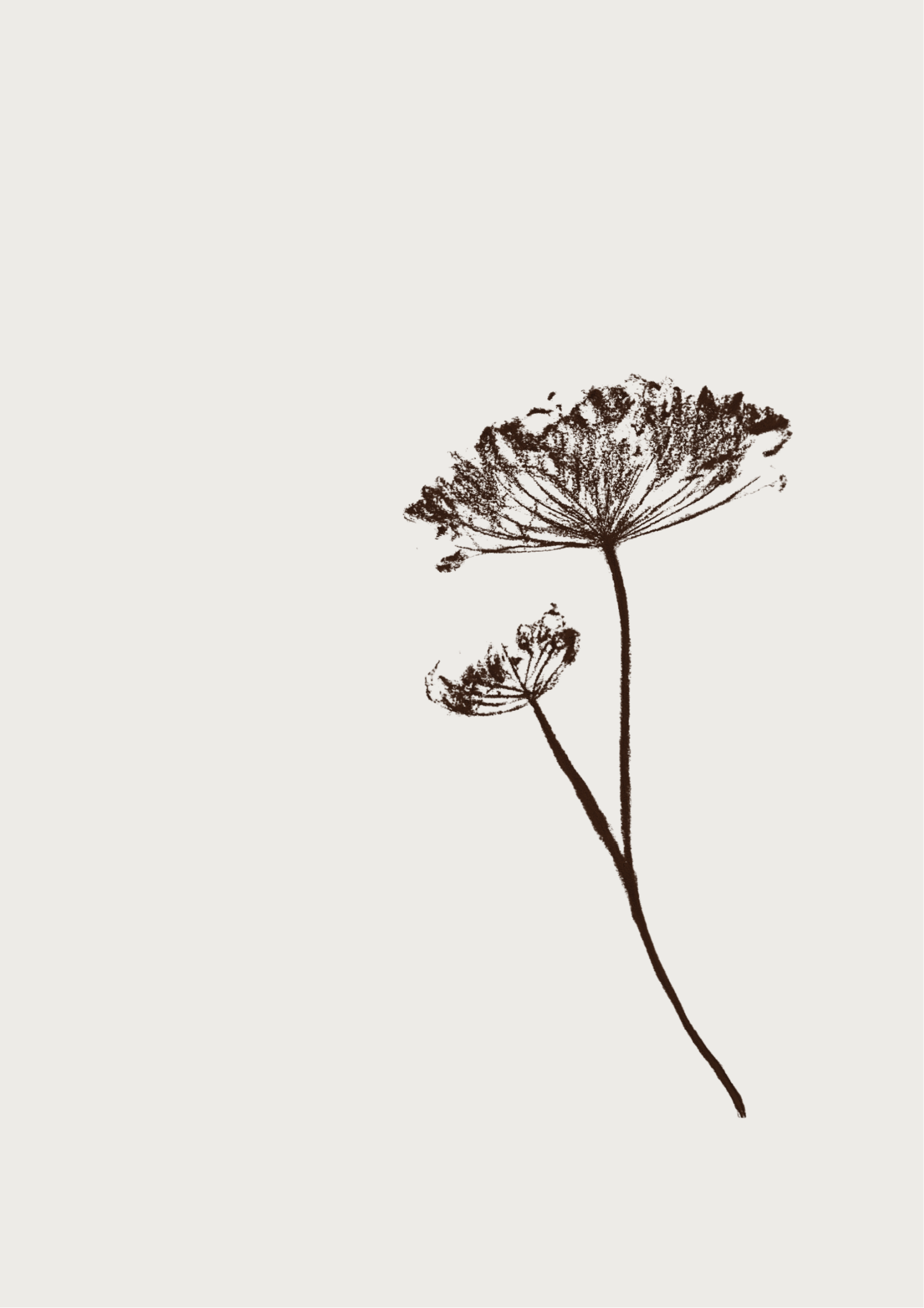 Stem - botanical print (digital)