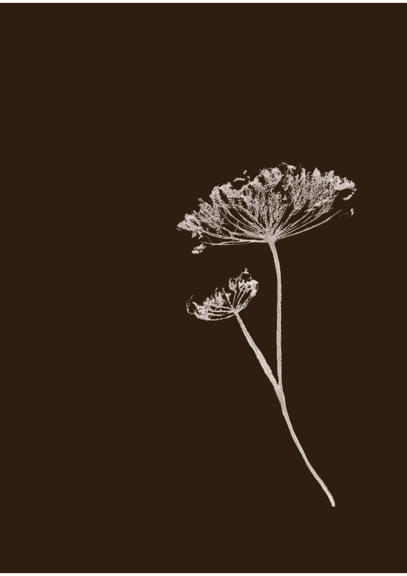 Stem - botanical print (digital)