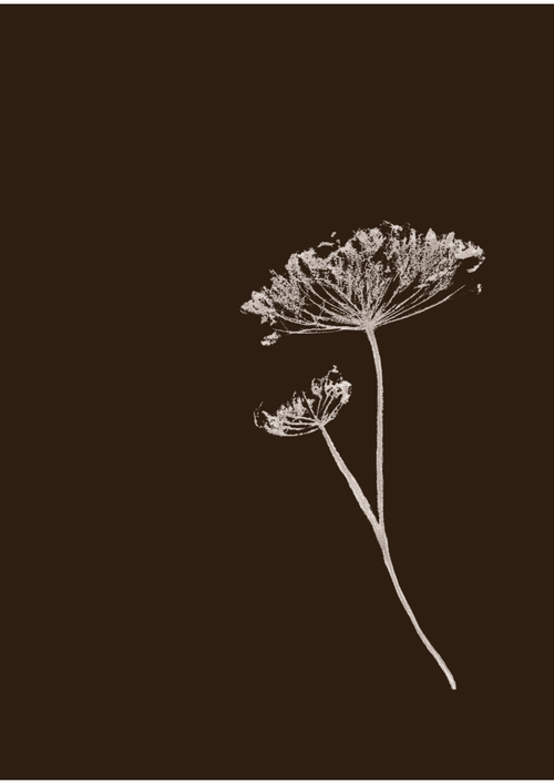 Stem - botanical print (digital)